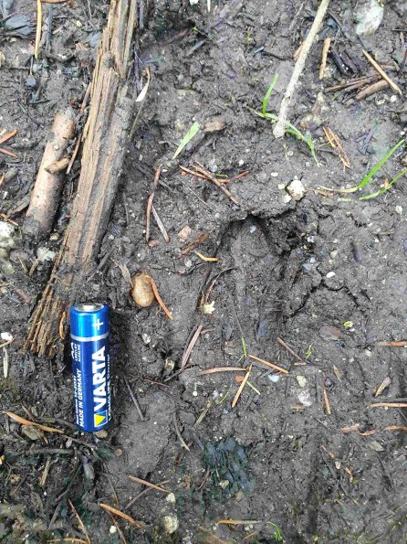 PA_AT_KOB_abovefootprintphoto_20220907114815454