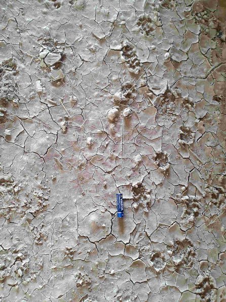 PA_AT_KOB_abovefootprintphoto_20220907125715484