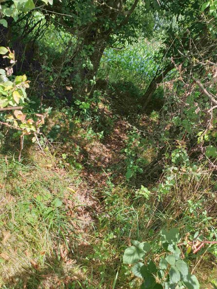 PA_AT_KOB_abovefootprintphoto_20220907130155913