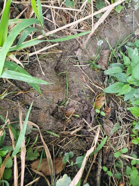 PA_AT_KOB_abovefootprintphoto_20220907155118164