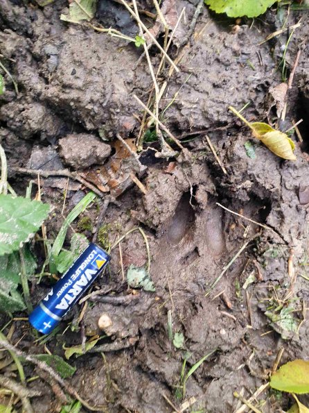 PA_AT_KOB_abovefootprintphoto_20220907155640066