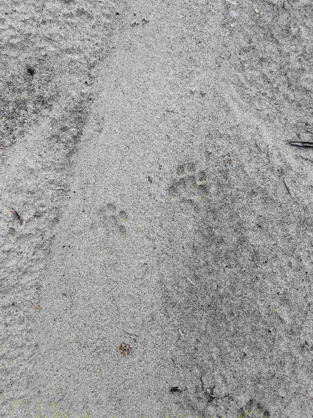 PA_AT_KOB_abovefootprintphoto_20220907161928994