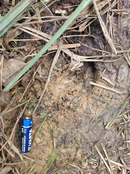 PA_AT_KOB_abovefootprintphoto_20220907171615872