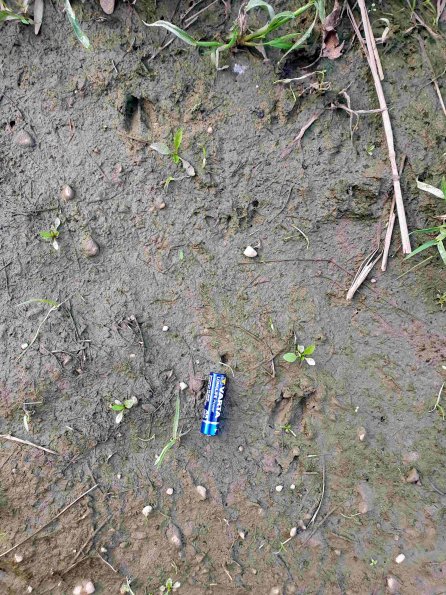 PA_AT_KOB_abovefootprintphoto_20220907180243431