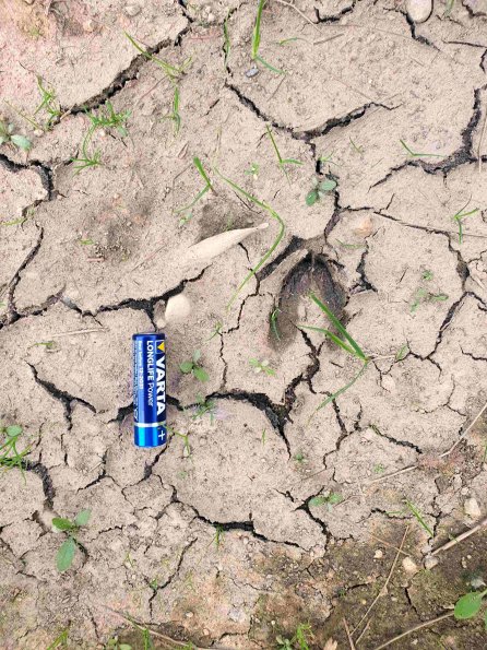 PA_AT_KOB_abovefootprintphoto_20220907180318053