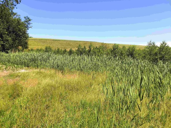 PA_AT_KOB_lc-element-photo_20220612120956268