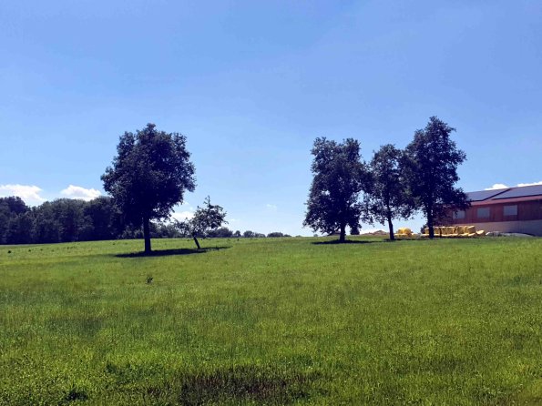 PA_AT_KOB_lc-element-photo_20220612141124187