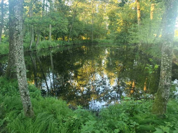 PA_AT_KOB_lc-element-photo_20220612201732315