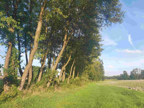 PA_AT_KOB_lc-element-photo_20220906180923301