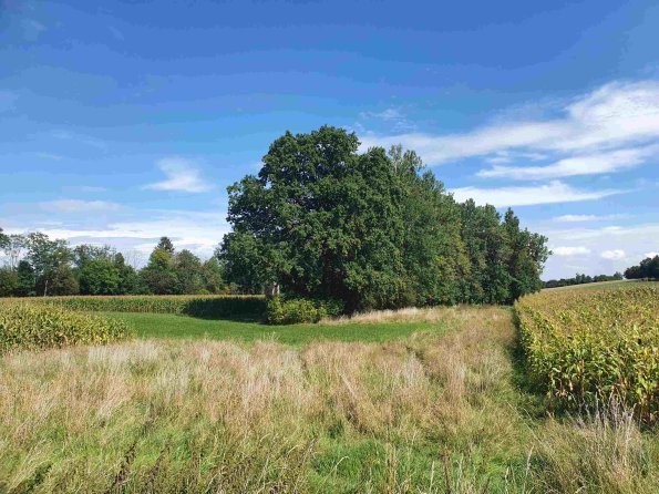 PA_AT_KOB_lc-element-photo_20220907133513344