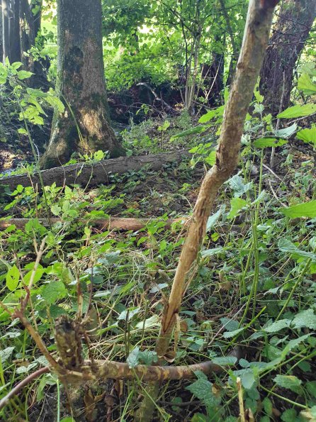 PA_AT_KOB_otheractivitysignphoto_20210926134800439