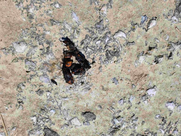 PA_AT_KOB_otheractivitysignphoto_20220611112608546