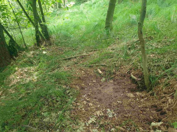 PA_AT_KOB_otheractivitysignphoto_20220611130116076