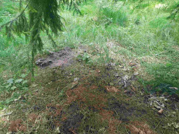 PA_AT_KOB_otheractivitysignphoto_20220611130202549