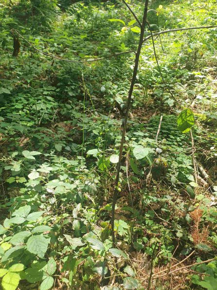 PA_AT_KOB_otheractivitysignphoto_20220611131647870