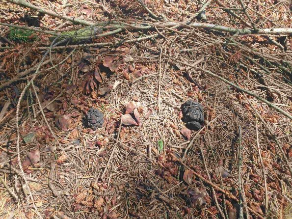 PA_AT_KOB_otheractivitysignphoto_20220611142036678