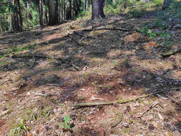 PA_AT_KOB_otheractivitysignphoto_20220611142916493