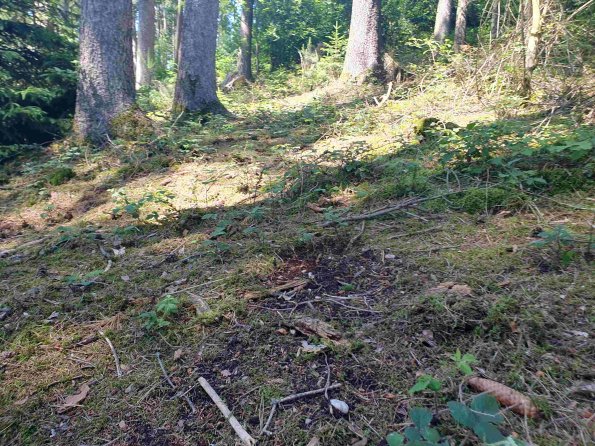 PA_AT_KOB_otheractivitysignphoto_20220611143110528