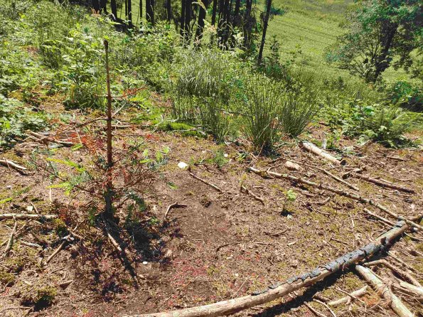 PA_AT_KOB_otheractivitysignphoto_20220611143706293