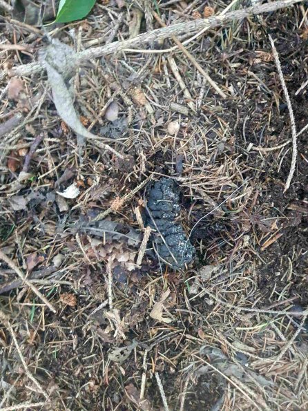 PA_AT_KOB_otheractivitysignphoto_20220611163857633