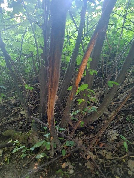 PA_AT_KOB_otheractivitysignphoto_20220611164201885