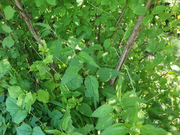 PA_AT_KOB_otheractivitysignphoto_20220612110706865