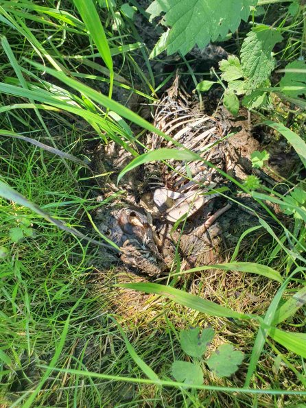 PA_AT_KOB_otheractivitysignphoto_20220612115613379