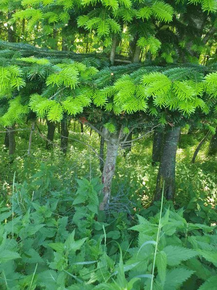 PA_AT_KOB_otheractivitysignphoto_20220612122903069