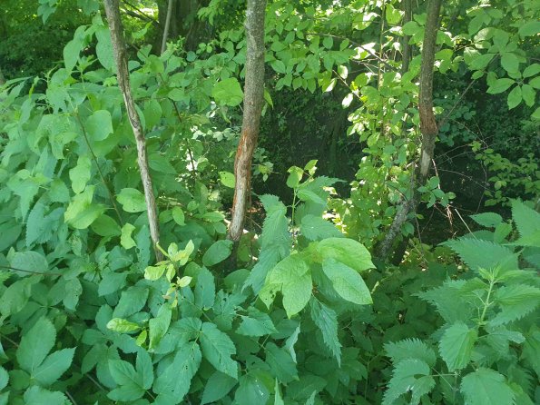 PA_AT_KOB_otheractivitysignphoto_20220612131309195