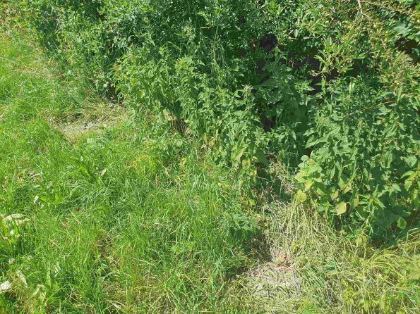 PA_AT_KOB_otheractivitysignphoto_20220612133723514