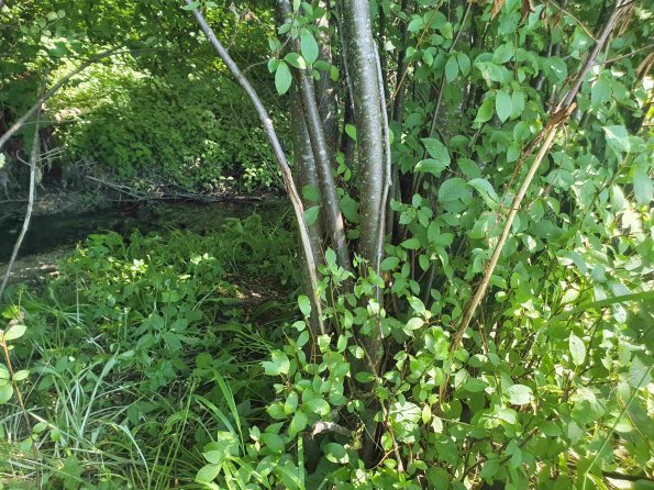 PA_AT_KOB_otheractivitysignphoto_20220612150421823