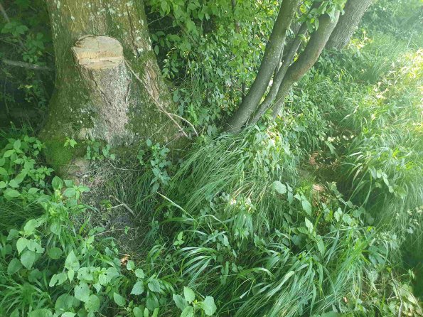 PA_AT_KOB_otheractivitysignphoto_20220612151030528