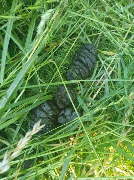 PA_AT_KOB_otheractivitysignphoto_20220612151154958