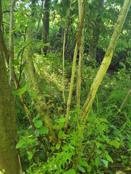 PA_AT_KOB_otheractivitysignphoto_20220612151834811