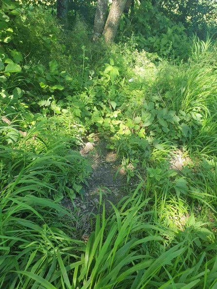 PA_AT_KOB_otheractivitysignphoto_20220612152139831