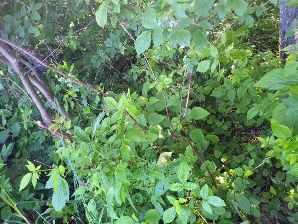 PA_AT_KOB_otheractivitysignphoto_20220612153935757