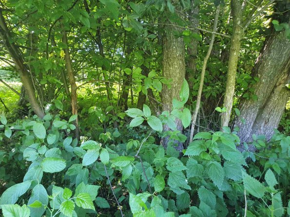 PA_AT_KOB_otheractivitysignphoto_20220612154211706