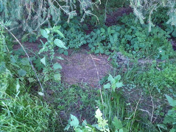 PA_AT_KOB_otheractivitysignphoto_20220612172211627