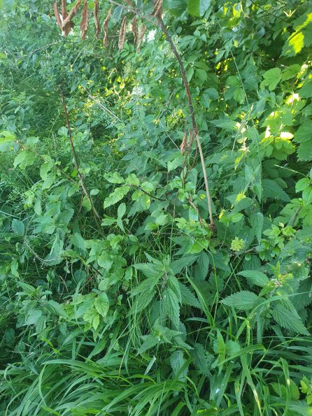 PA_AT_KOB_otheractivitysignphoto_20220612175518207