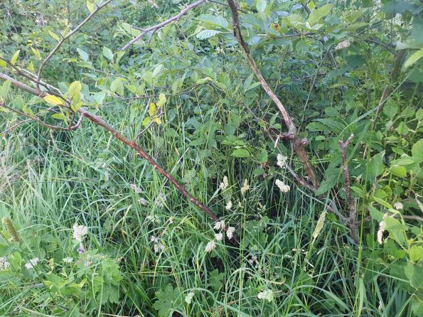 PA_AT_KOB_otheractivitysignphoto_20220612175837010