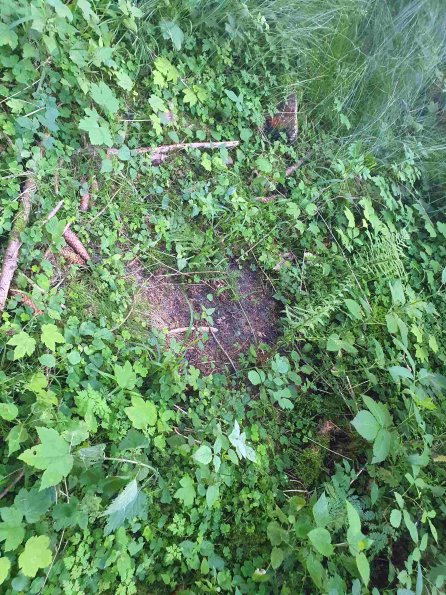 PA_AT_KOB_otheractivitysignphoto_20220612185532813