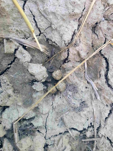 PA_AT_KOB_otheractivitysignphoto_20220612193517608