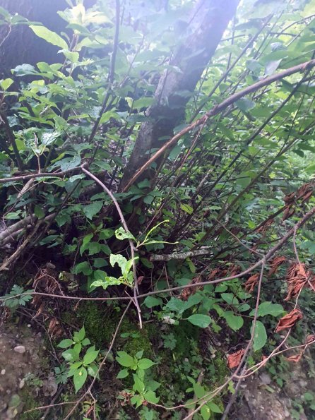 PA_AT_KOB_otheractivitysignphoto_20220612200923964