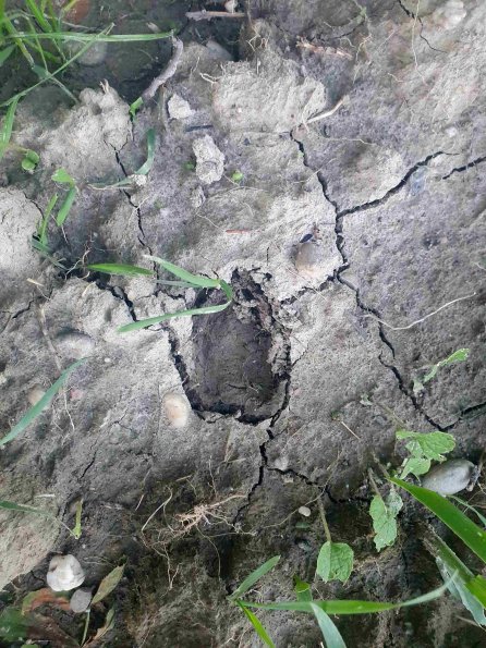 PA_AT_KOB_otheractivitysignphoto_20220612201255043