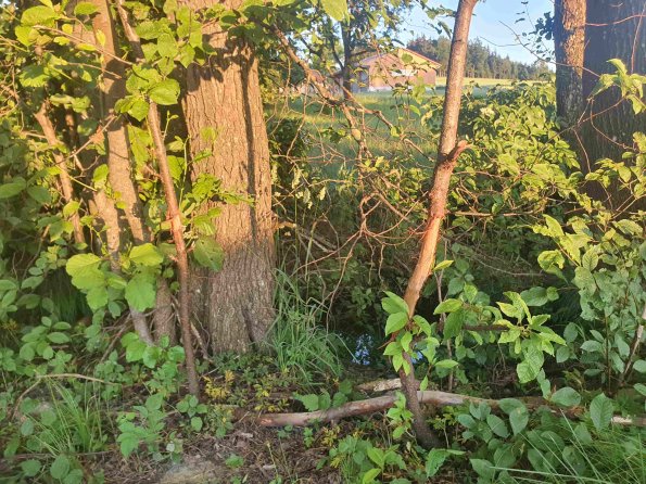 PA_AT_KOB_otheractivitysignphoto_20220612202858315