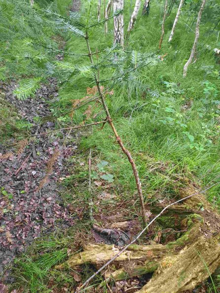 PA_AT_KOB_otheractivitysignphoto_20220613111732965