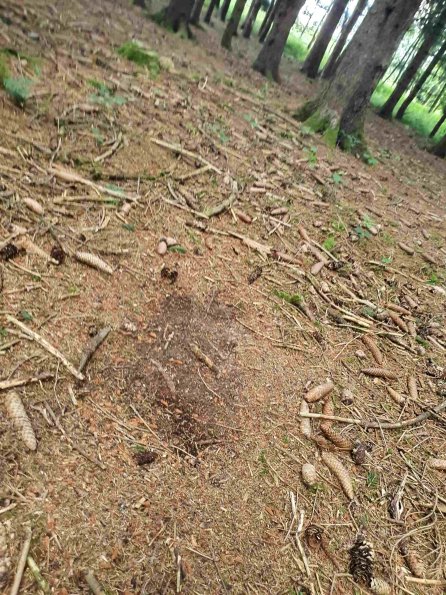 PA_AT_KOB_otheractivitysignphoto_20220613133542279