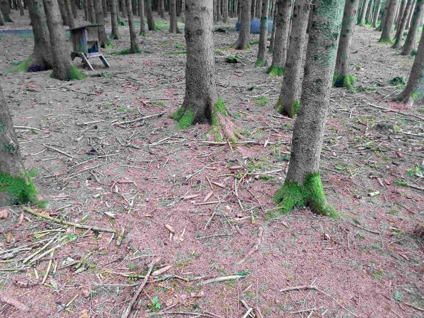 PA_AT_KOB_otheractivitysignphoto_20220613134952697