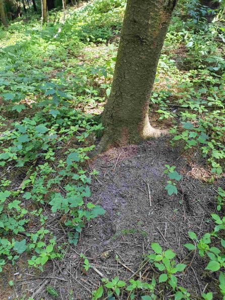 PA_AT_KOB_otheractivitysignphoto_20220613151002063