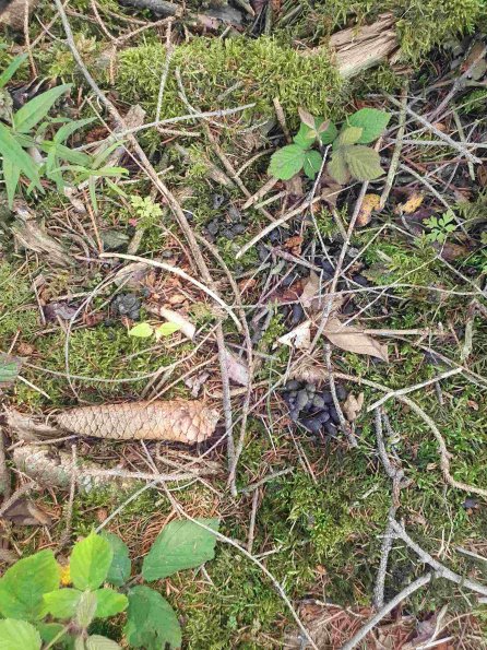 PA_AT_KOB_otheractivitysignphoto_20220613152510248